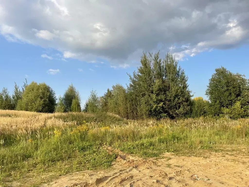 Участок в Московская область, Истра муниципальный округ, д. Чесноково ... - Фото 1