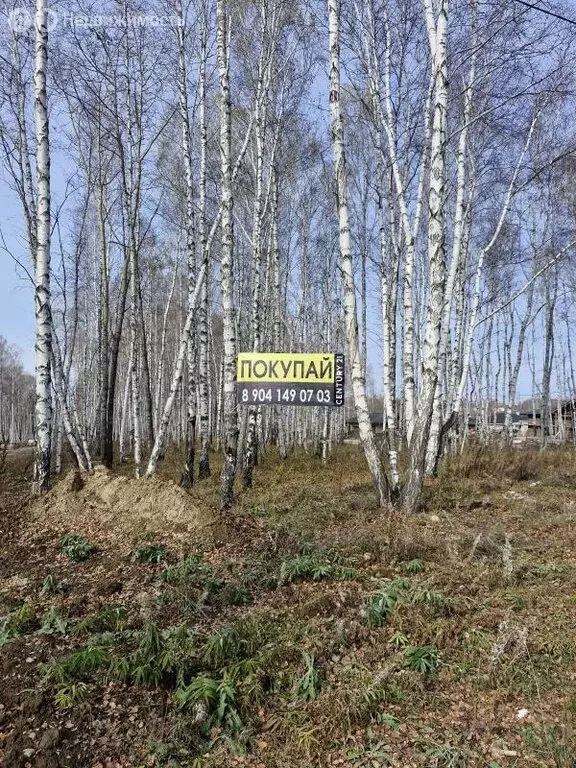 Участок в Иркутский муниципальный округ, Байкальский тракт, 9-й ... - Фото 2