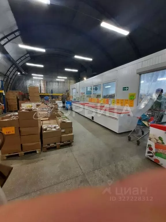 Склад в Тюменская область, Тюмень ул. Дружбы, 128к1 (1193 м) - Фото 1