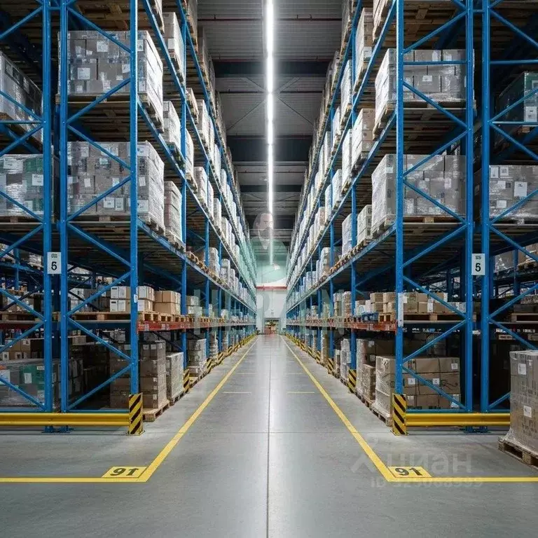 Склад в Московская область, Пересвет Сергиево-Посадский район, ул. ... - Фото 2