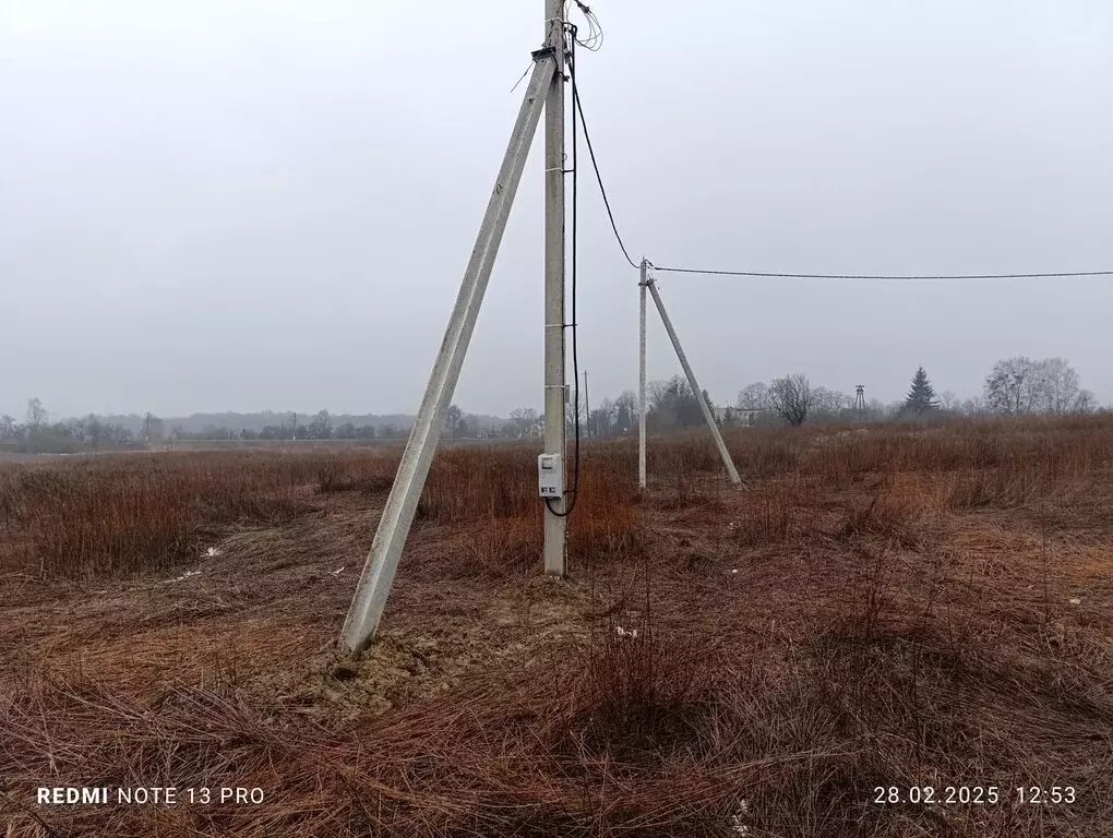 Участок в Калининградская область, Зеленоградский муниципальный округ, ... - Фото 2