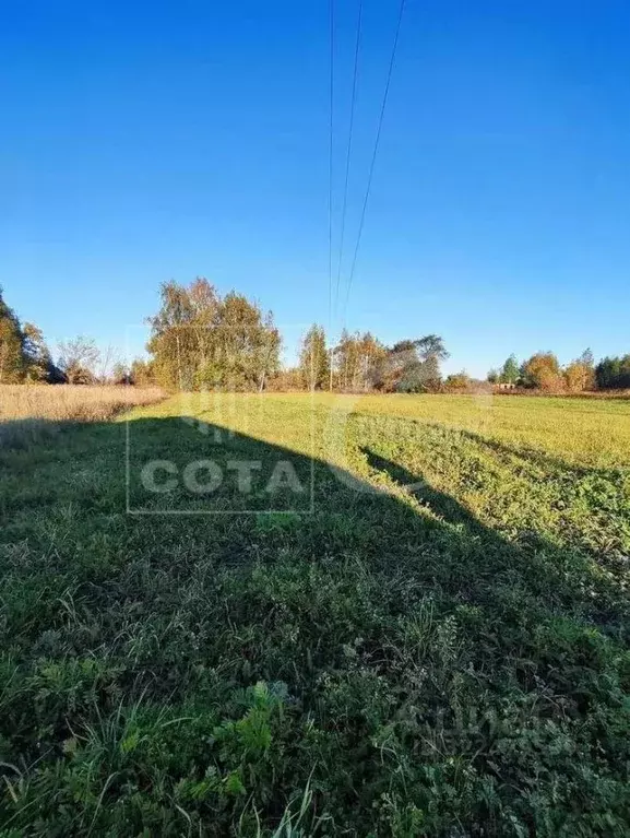 Участок в Воронежская область, Павловский район, Покровское с/пос, ... - Фото 2