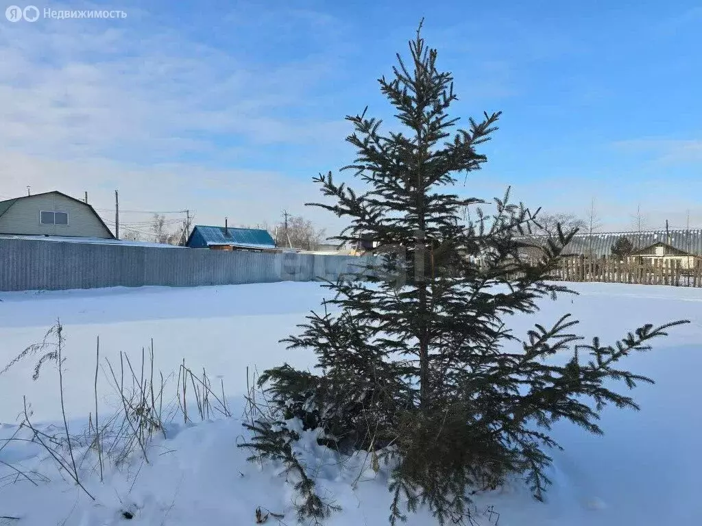 Участок в Благовещенск, посёлок Астрахановка, Пограничная улица (9.3 ... - Фото 2
