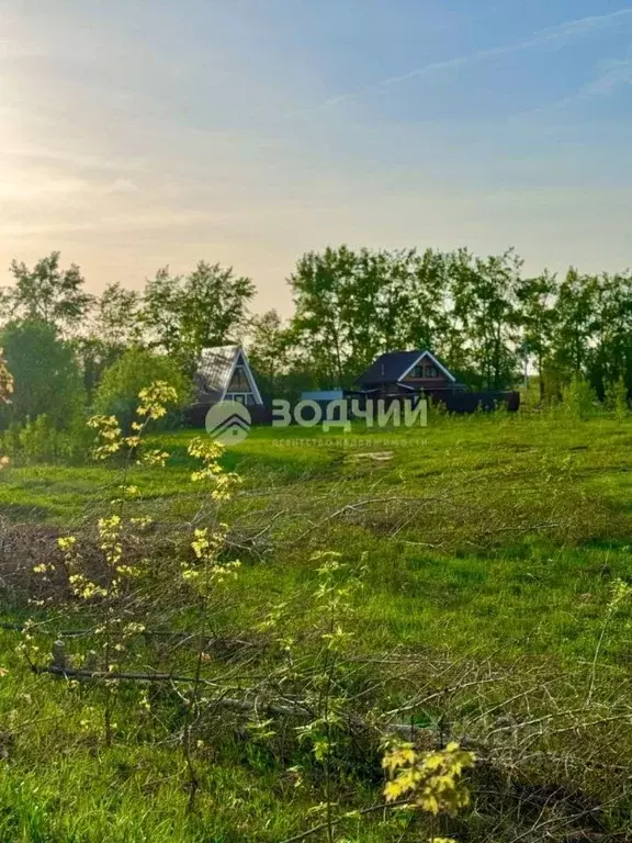 Участок в Чувашия, Чебоксарский муниципальный округ, Сирмапосинское ... - Фото 1