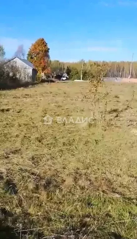 Участок в Владимирская область, Камешковский район, Сергеихинское ... - Фото 1