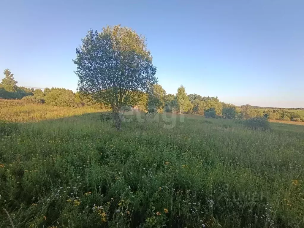 Дом в Тульская область, Тула городской округ, с. Алешня  (25 м) - Фото 1