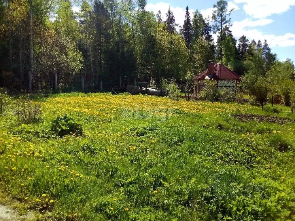 Участок в Свердловская область, Нижний Тагил городской округ, д. ... - Фото 0