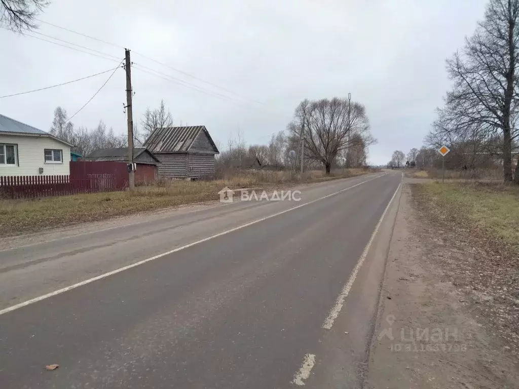 Участок в Рязанская область, Касимовский муниципальный округ, с. ... - Фото 1