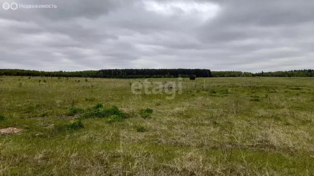 Участок в муниципальное образование Новосельское, село Крутово (520 м) - Фото 0