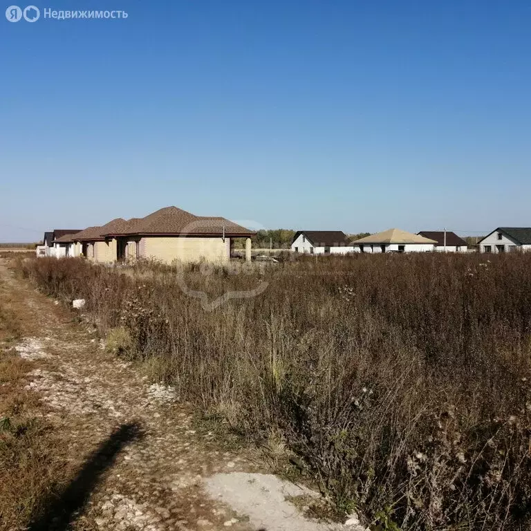 Участок в Владимирская область, Собинский муниципальный округ, село ... - Фото 0