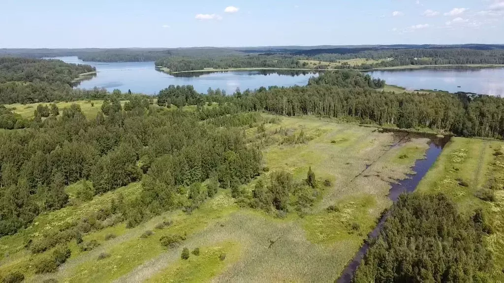 Участок в Карелия, Лахденпохский муниципальный округ, пос. Райвио  ... - Фото 1