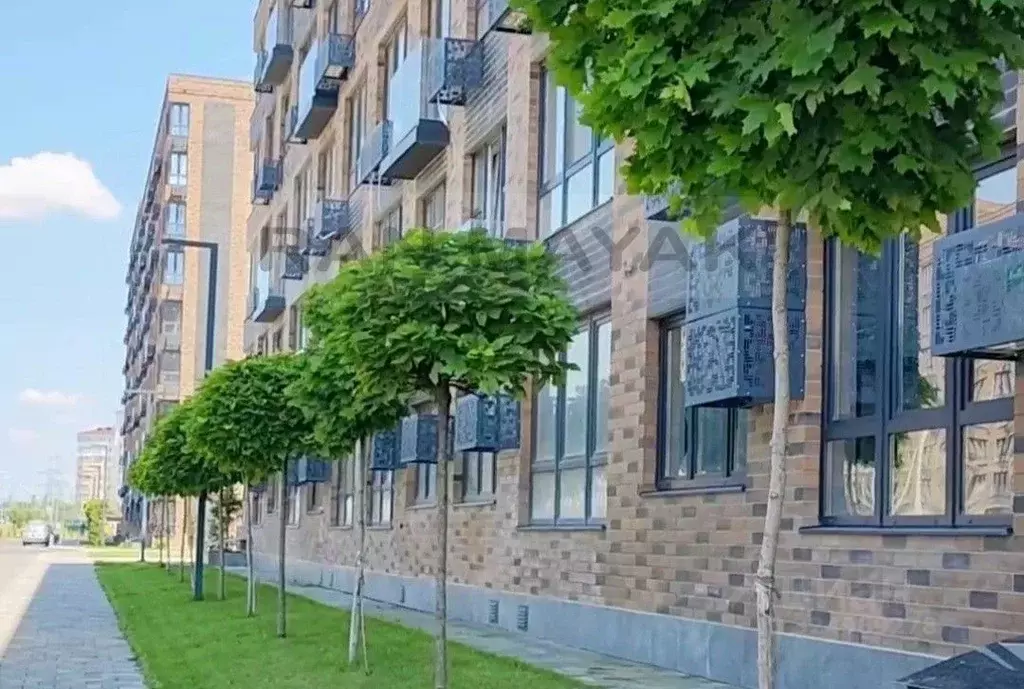 Торговая площадь в Адыгея, Майкоп ул. К.А. Васильева, 2к4 (41 м) - Фото 1