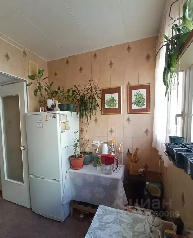 Комната Санкт-Петербург просп. Испытателей, 11К1 - Фото 2