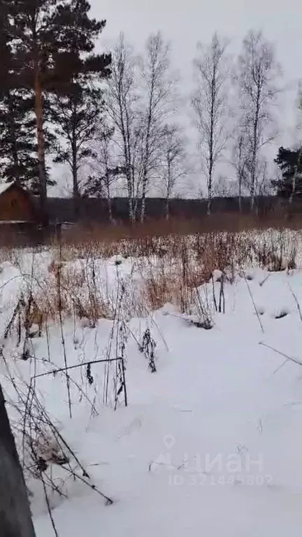 Участок в Томская область, Томский район, д. Новостройка  (6.9 сот.) - Фото 2