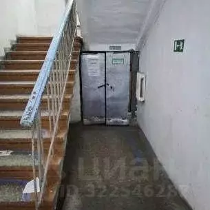 Помещение свободного назначения в Челябинская область, Златоуст ул. ... - Фото 2