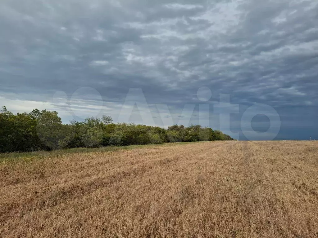 Участок 6 га (СНТ, ДНП) - Фото 1