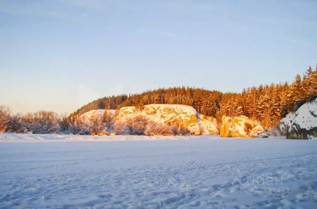 Участок в Свердловская область, Слободо-Туринский район, ... - Фото 1