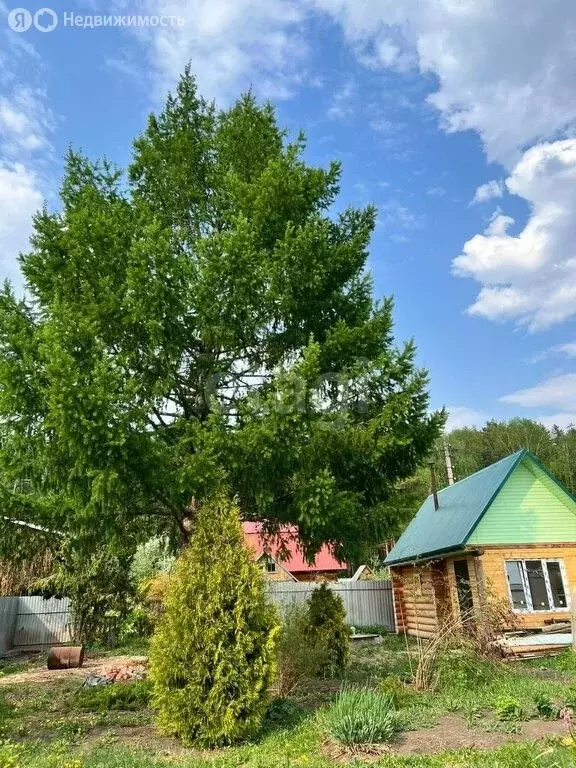 Дом в Тюмень, СНТ Лесник, улица Пчеловодов (25 м) - Фото 1