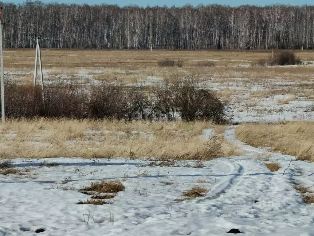Участок в Курганская область, Шадринский муниципальный округ, с. Ключи ... - Фото 0