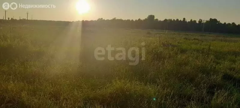Участок в село Богашёво, улица Жукова (12.5 м) - Фото 1