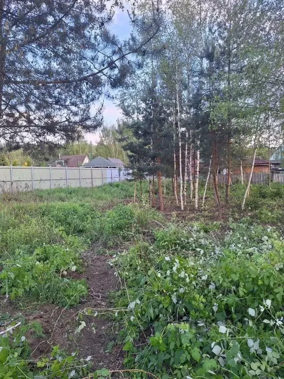 Участок в Московская область, Богородский городской округ, Электрон ... - Фото 1