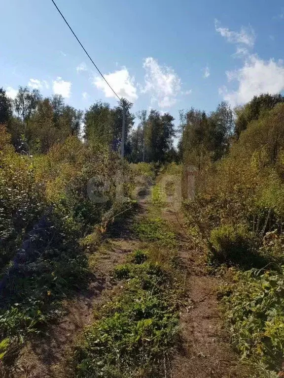Участок в Новосибирская область, Новосибирский район, Кубовинский ... - Фото 1