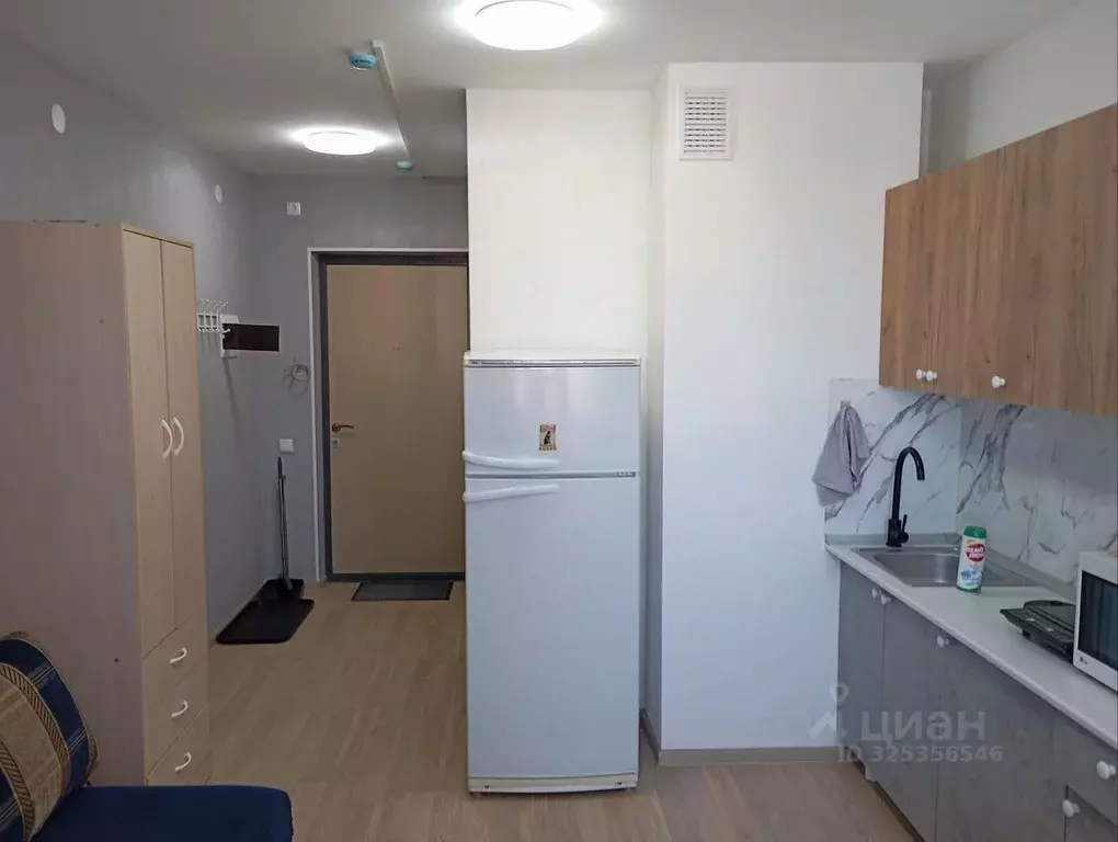 Студия Свердловская область, Екатеринбург ул. Лыжников, 3 (22.0 м) - Фото 1