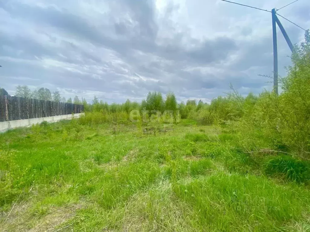 Участок в Томская область, Томский район, с. Тахтамышево ул. Звездная ... - Фото 0
