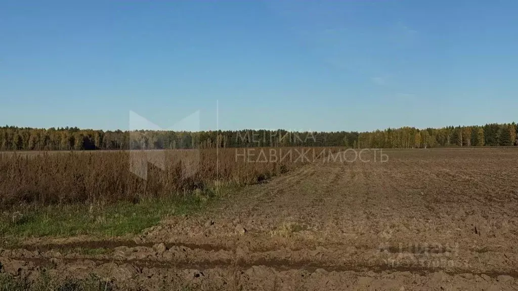 Участок в Тюменская область, Тюменский муниципальный округ, с. Каменка ... - Фото 1