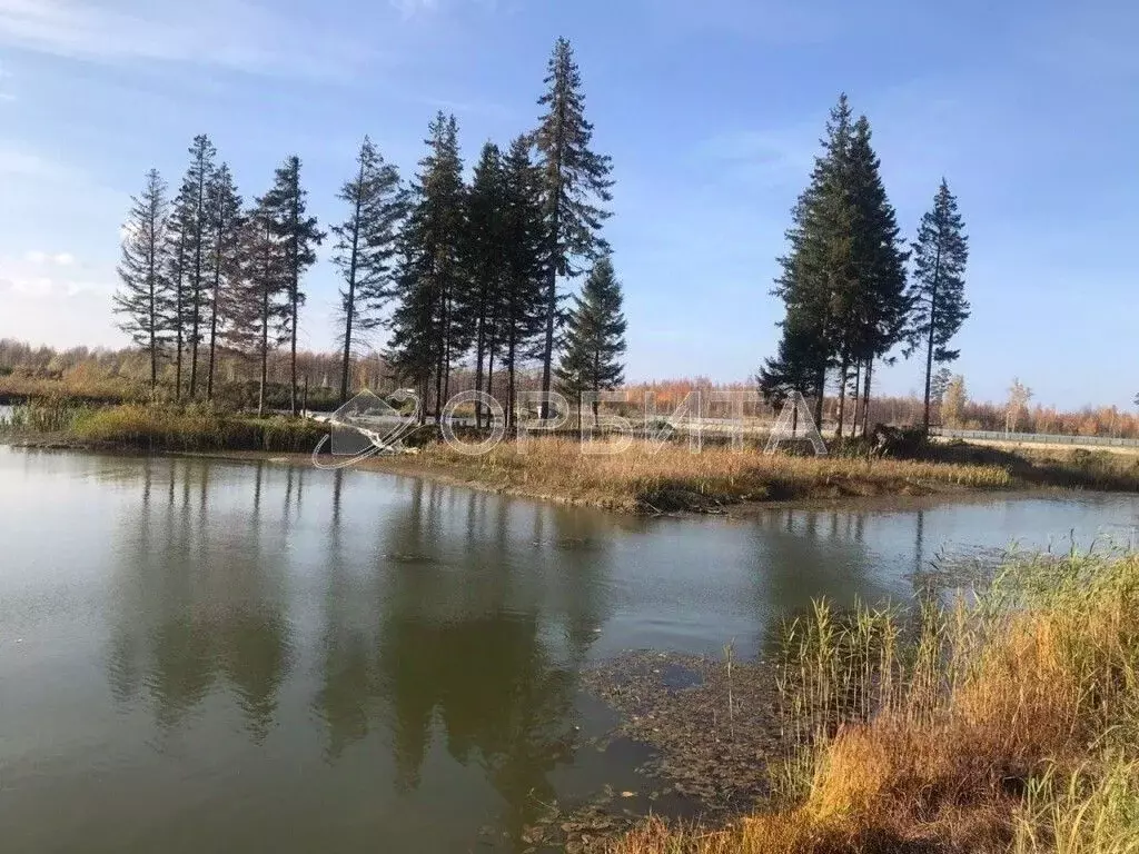 Участок в Тюменская область, Нижнетавдинский район, Геолог-2 СНТ  ... - Фото 0