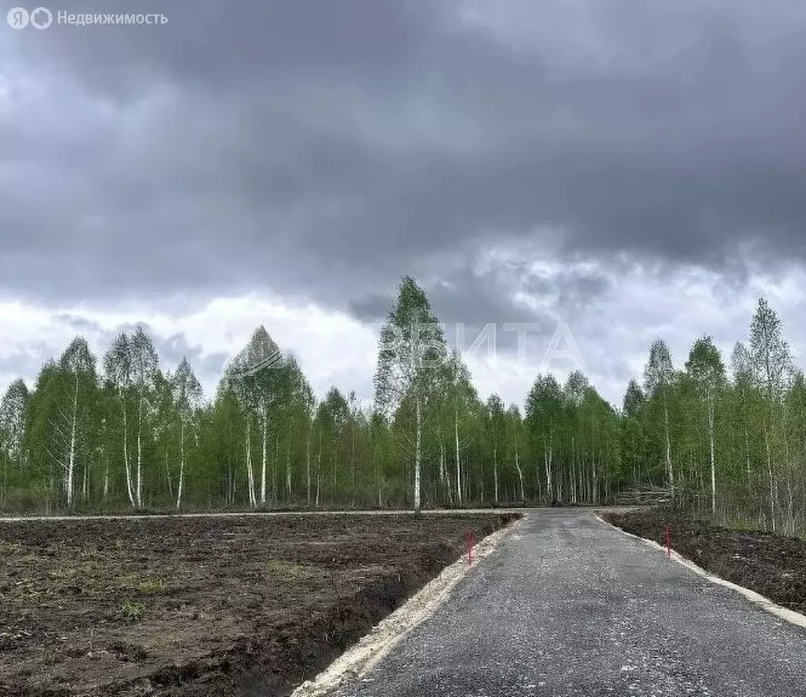 Участок в Тюменская область, Нижнетавдинский муниципальный округ, СНТ ... - Фото 2
