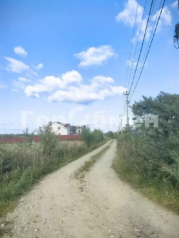 Продается участок в ДНТ Шубино - Фото 1