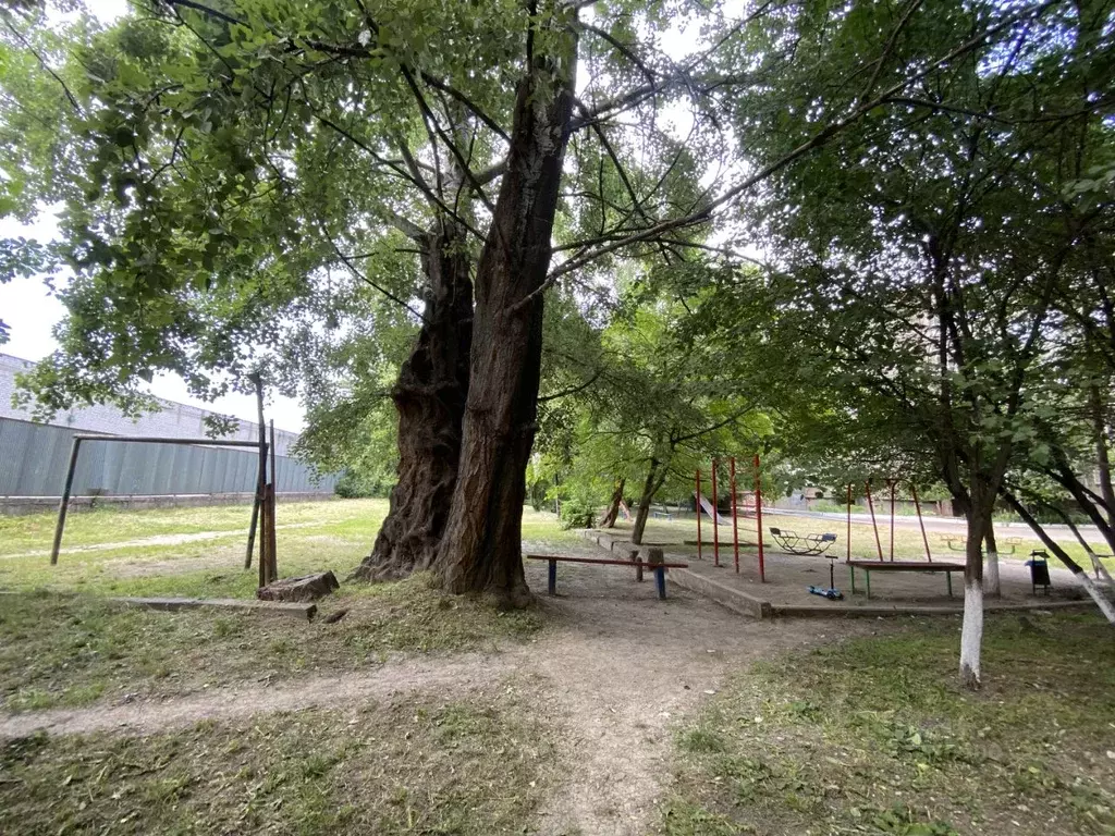 3-к кв. Ставропольский край, Пятигорск Оранжерейный проезд, 9 (72.0 м) - Фото 2