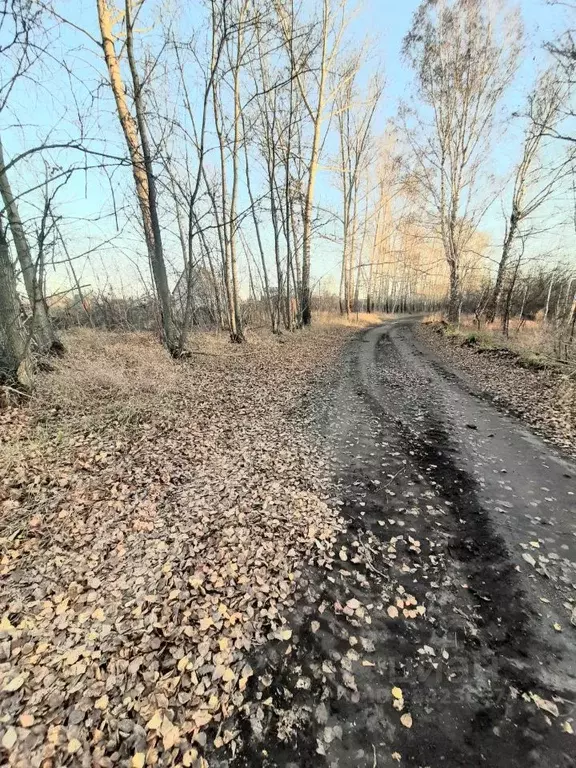 Участок в Алтайский край, Первомайский район, Мечта СНТ  (5.35 сот.) - Фото 1