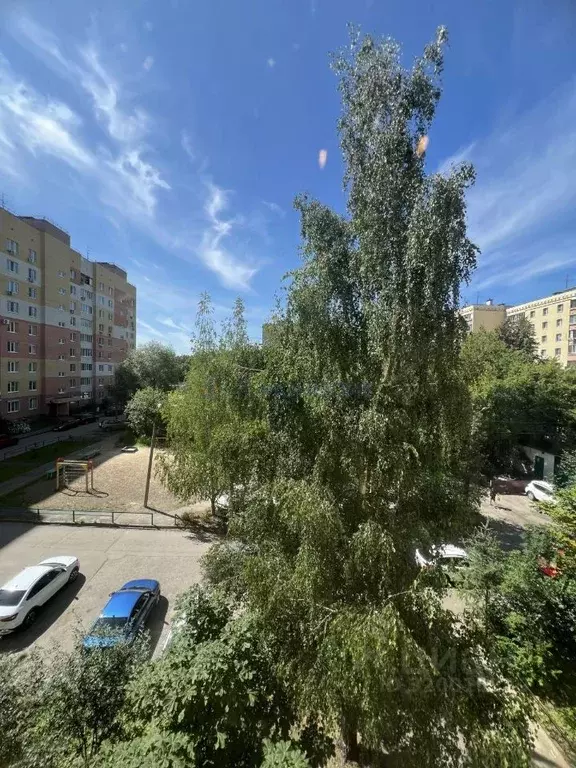 3-к кв. Нижегородская область, Нижний Новгород ул. Ванеева, 227 (74.8 ... - Фото 1