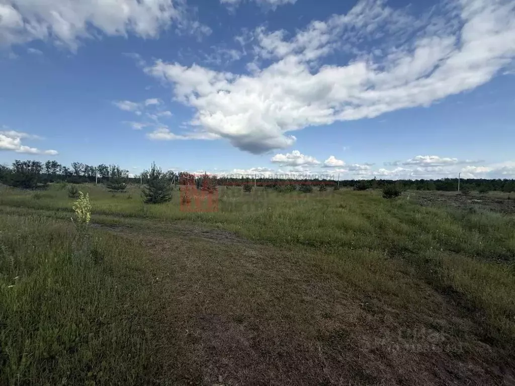 Участок в Белгородская область, Старый Оскол Ладушки-2 мкр,  (15.0 ... - Фото 0