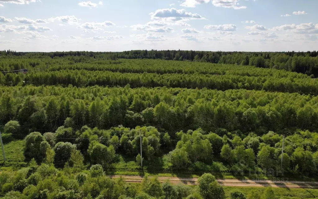 Участок в Московская область, Можайский городской округ, Лесные ... - Фото 1