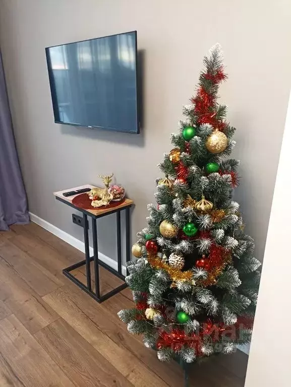 Студия Пермский край, Пермь ул. Фрезеровщиков, 59 (25.0 м) - Фото 2