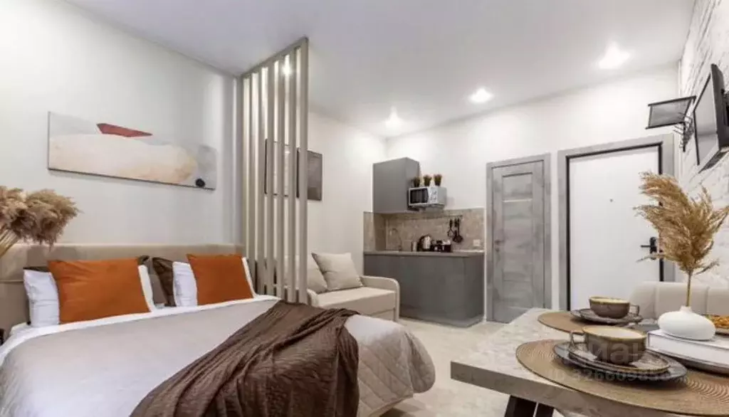 Студия Санкт-Петербург Большой Казачий пер., 4 (25.0 м) - Фото 2