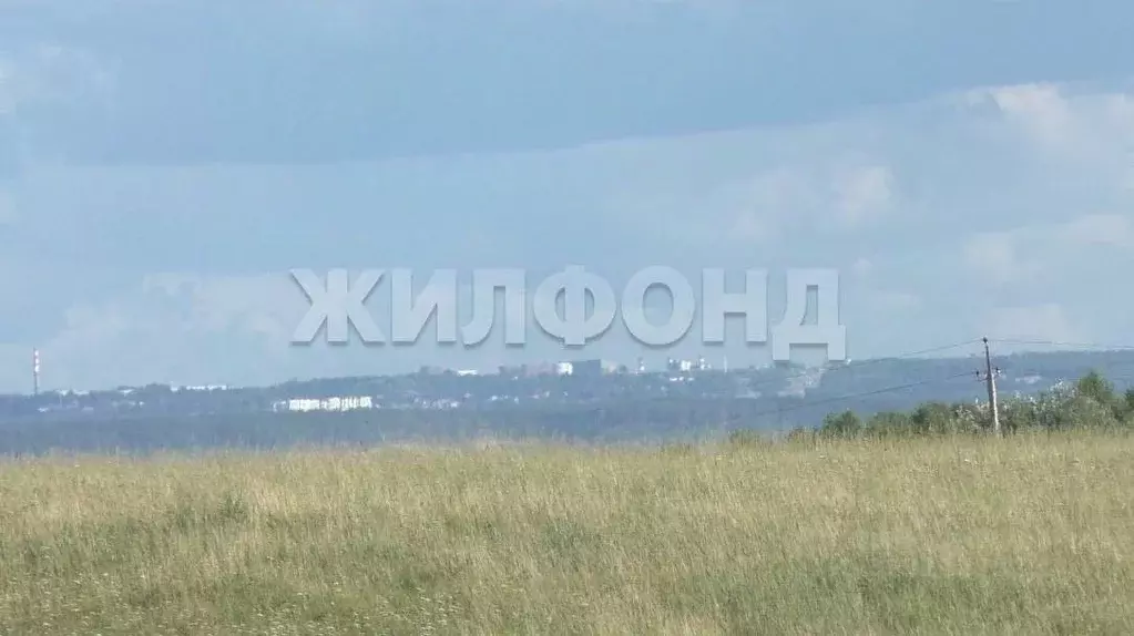 Участок в Новосибирская область, Колыванский район, с. Сидоровка Новая ... - Фото 1