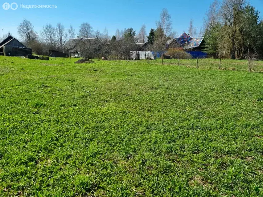 Участок в Кипенское сельское поселение, деревня Витино (10 м) - Фото 1