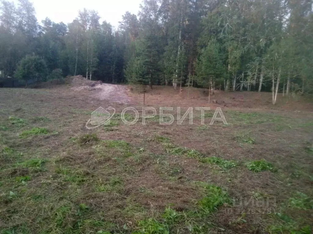 Участок в Тюменская область, Тюменский муниципальный округ, Красная ... - Фото 1