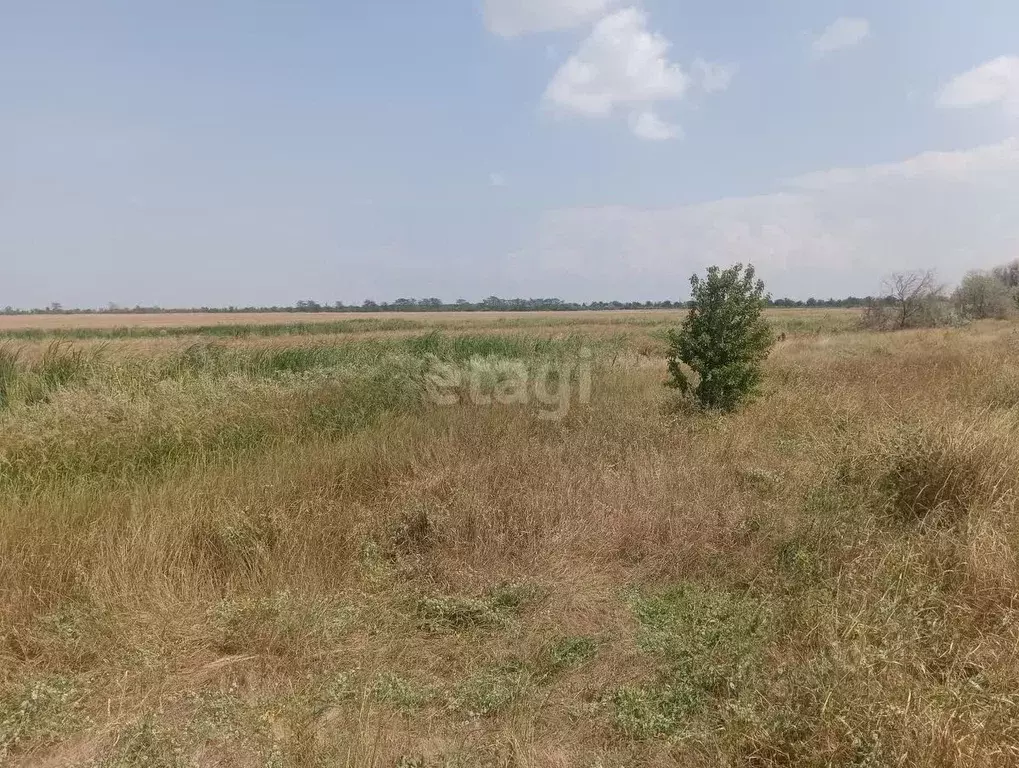 Участок в Крым, Ленинский район, с. Калиновка ул. Азовская (100.0 ... - Фото 1