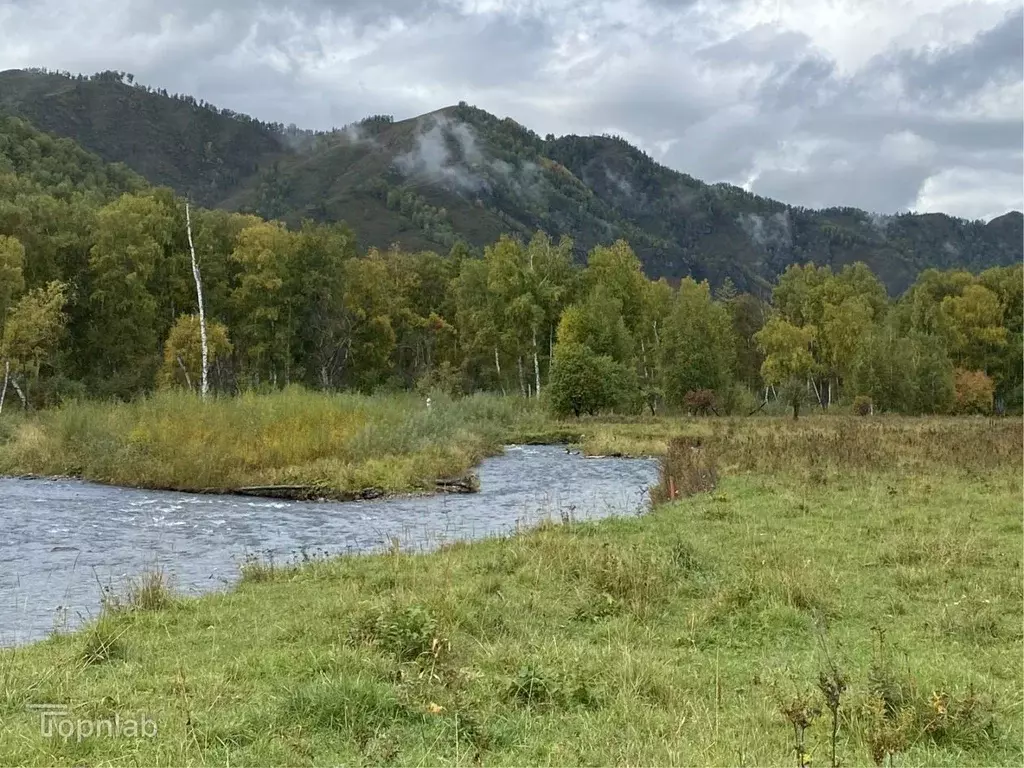 Участок в Алтай, Шебалинский район, с. Мыюта Российская ул. (15.0 ... - Фото 2