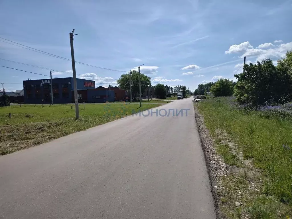Участок в Нижегородская область, Богородский муниципальный округ, д. ... - Фото 2