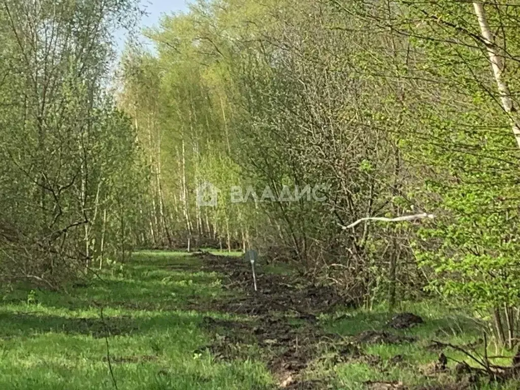 Участок в Воронежская область, Воронеж ул. Славянова, 14 (6.0 сот.) - Фото 1