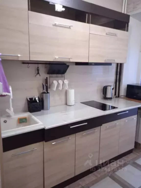 1-к кв. Псковская область, Псков Первомайская ул., 31 (33.0 м) - Фото 1