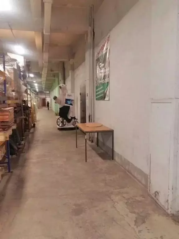 Производственное помещение в Санкт-Петербург Звенигородская ул., 9-11К ... - Фото 1