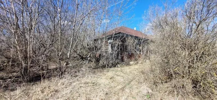 Участок в Владимирская область, Меленковский муниципальный округ, д. ... - Фото 1