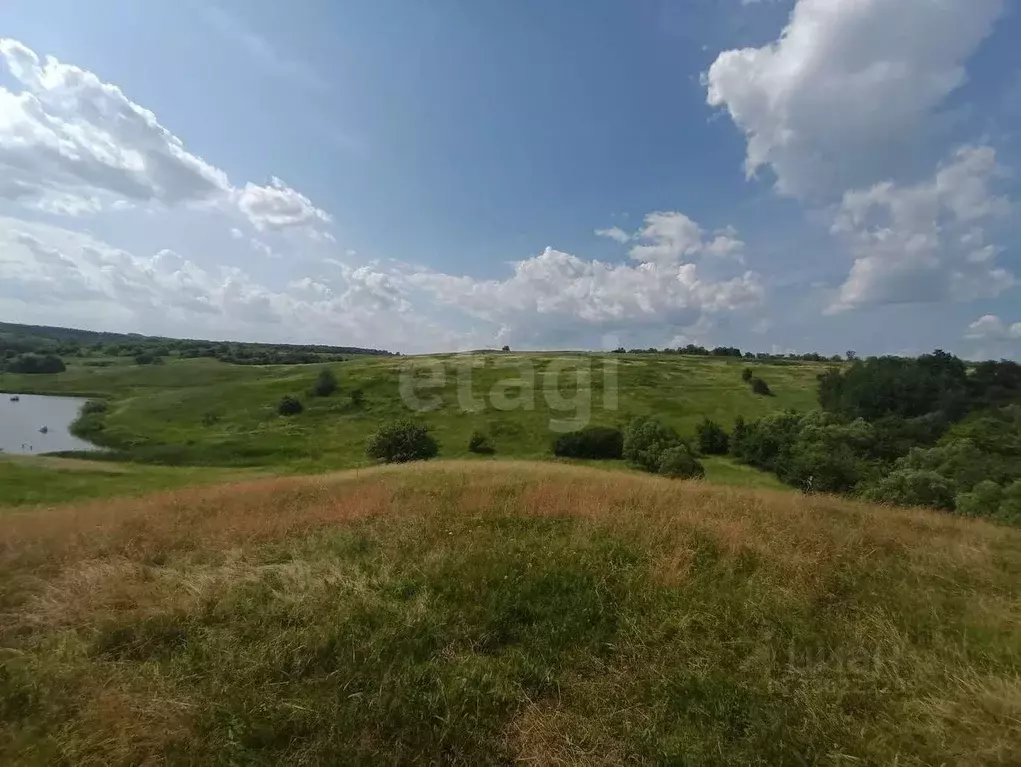 Участок в Курская область, Золотухинский район, Тазовский сельсовет, ... - Фото 1